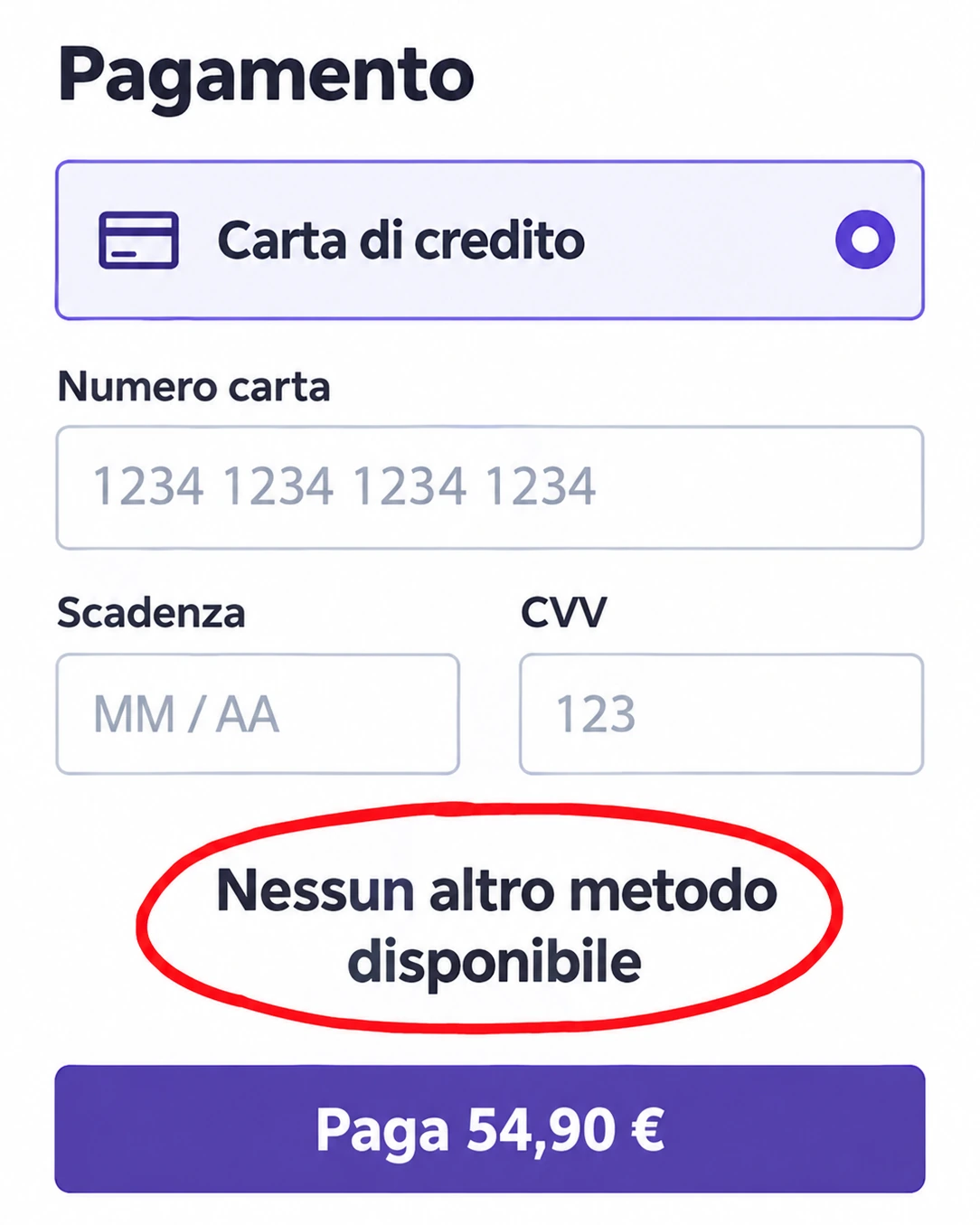 Schermata di pagamento di un ecommerce fashion con l’assenza di metodi alternativi evidenziata da un cerchio rosso.